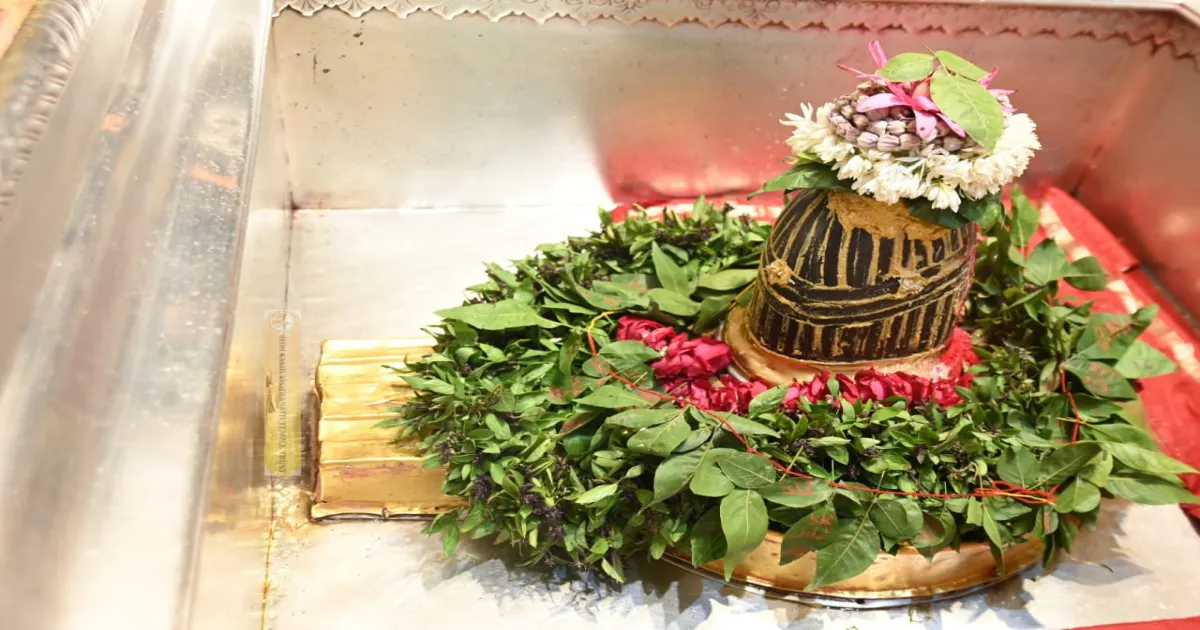 DAILY KASHI VISHWANATH DARSHAN: 07.03.2025 