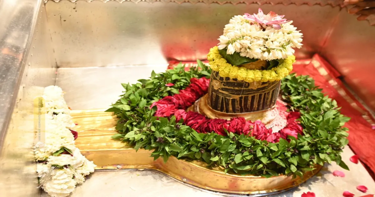 DAILY KASHI VISHWANATH DARSHAN: 12.03.2025 