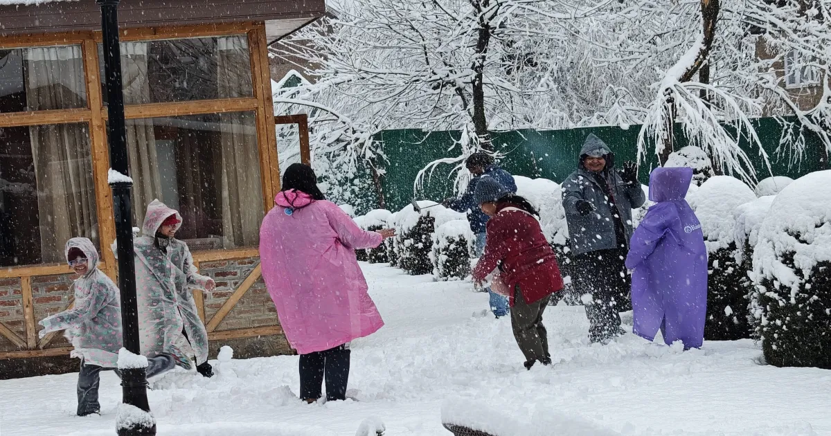 Fresh Snowfall Paints Kashmir Valley White