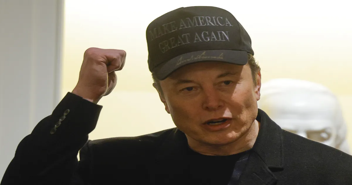 tesla-investor-calls-for-elon-musk-to-step-down-as-ceo