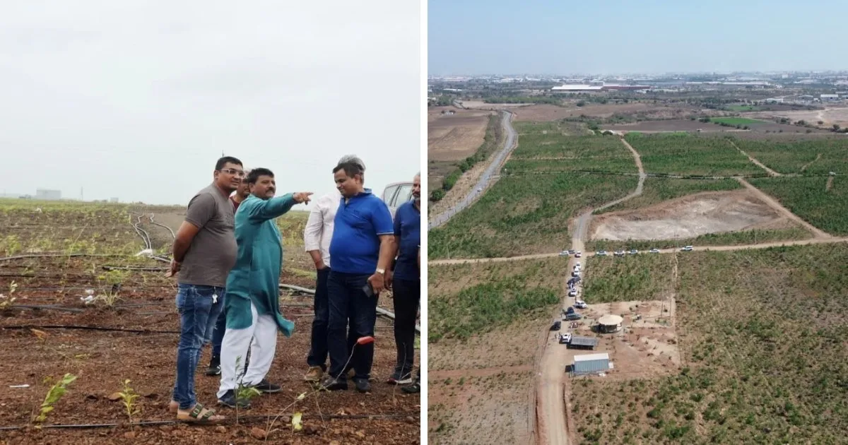 Gujarat’s Morbi Sees 10 Lakh Saplings Planted Under Namo Van Project