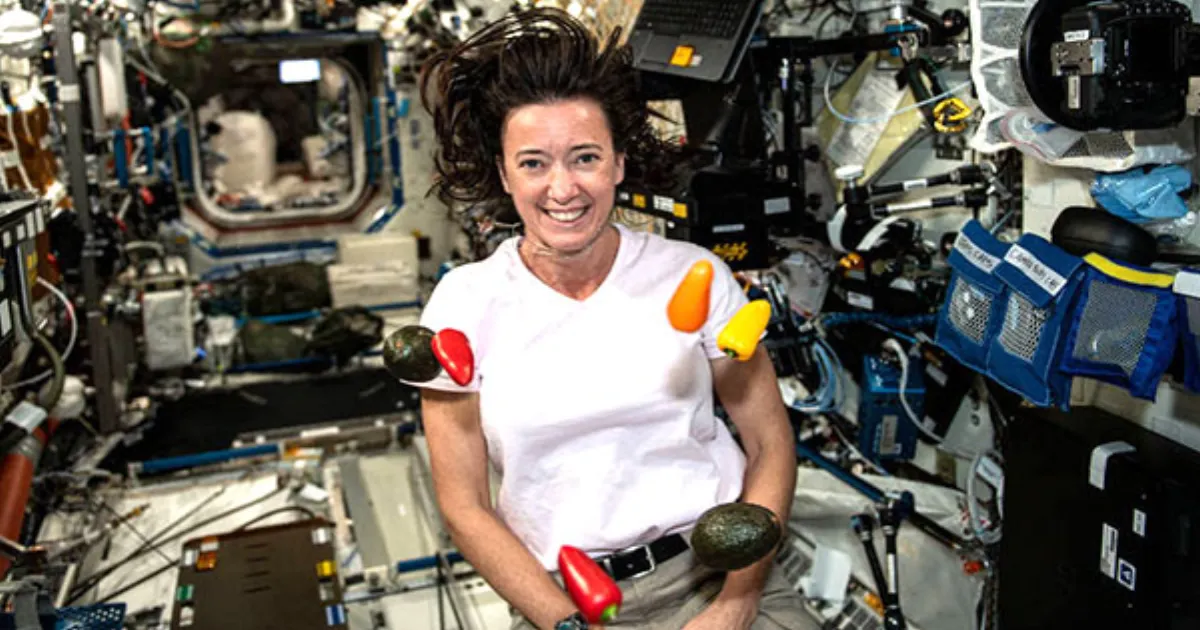 First Woman to Pilot SpaceX Dragon Retires