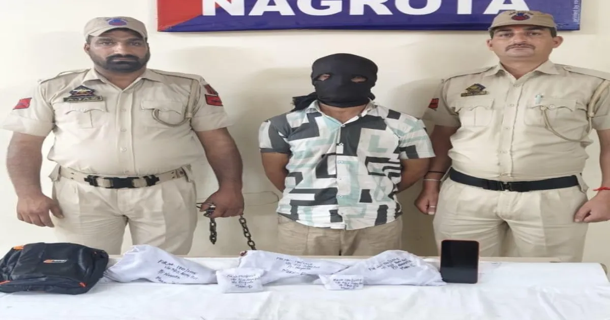 terror-suspect-nabbed-with-pistols-kathua-hunt-intensif