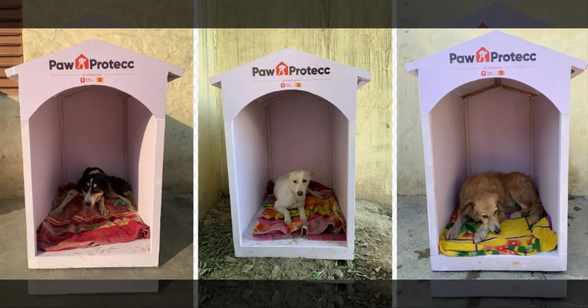 Mars Petcare and Swiggy Instamart Expand Winter Shelters for Community Dogs 