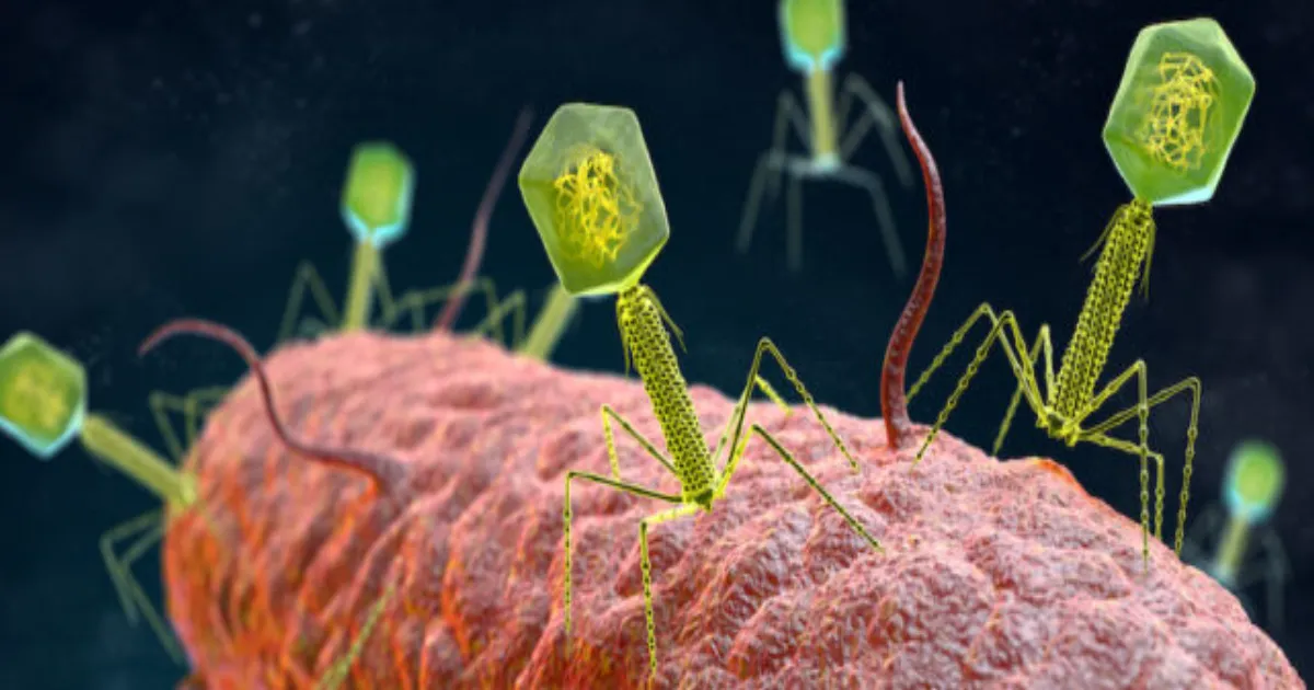 Scientists Revive Century-Old Phage Therapy to Battle Deadly Superbugs