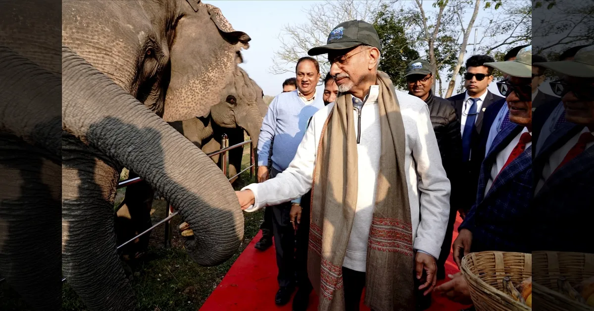 jaishankar-and-diplomats-of-other-countries-visit-stunn