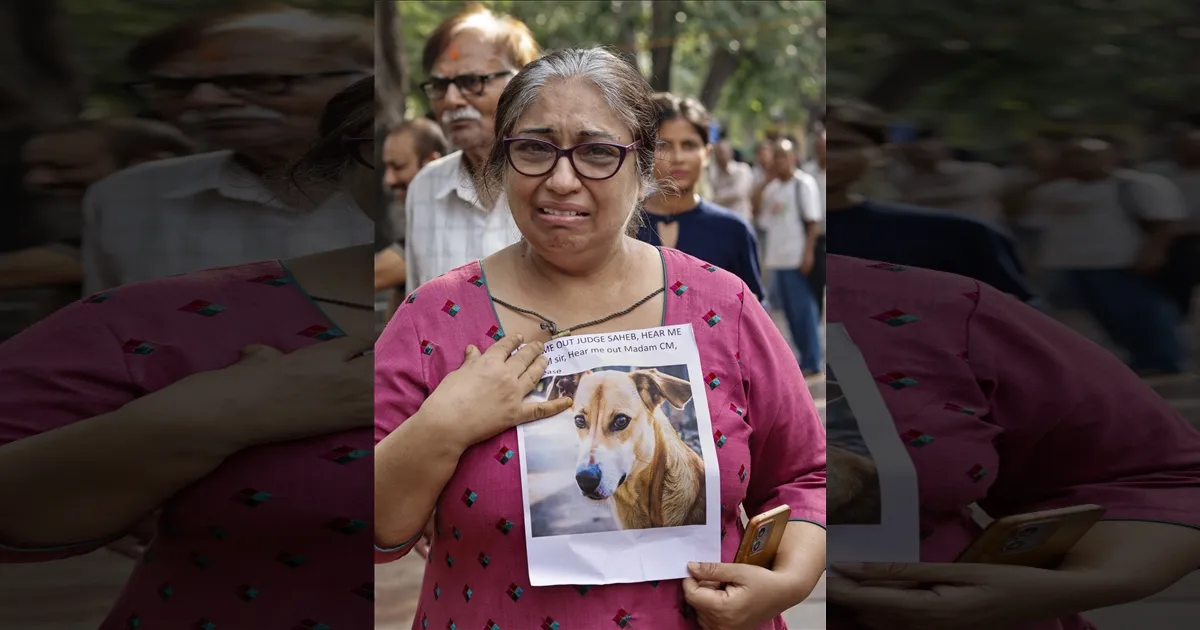Delhi Police File FIR on Animal Lovers Protesting Stray Dog Relocation!
