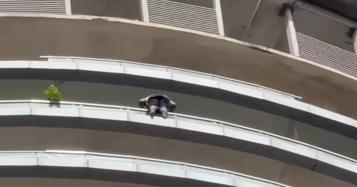 Noida Highrise Tragedy: Man Falls From 43rd Floor Of Supernova Tower, Dies At The Scene
