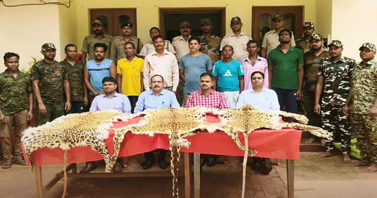 Odisha Raid: Teacher Among 7 Arrested in Leopard Skin Seizure