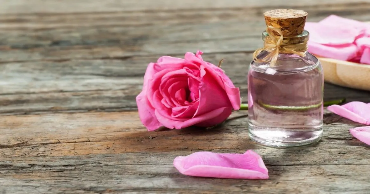 Rose Water: Nature’s Multi-Tasking Elixir for Skin, Senses, and Wellness