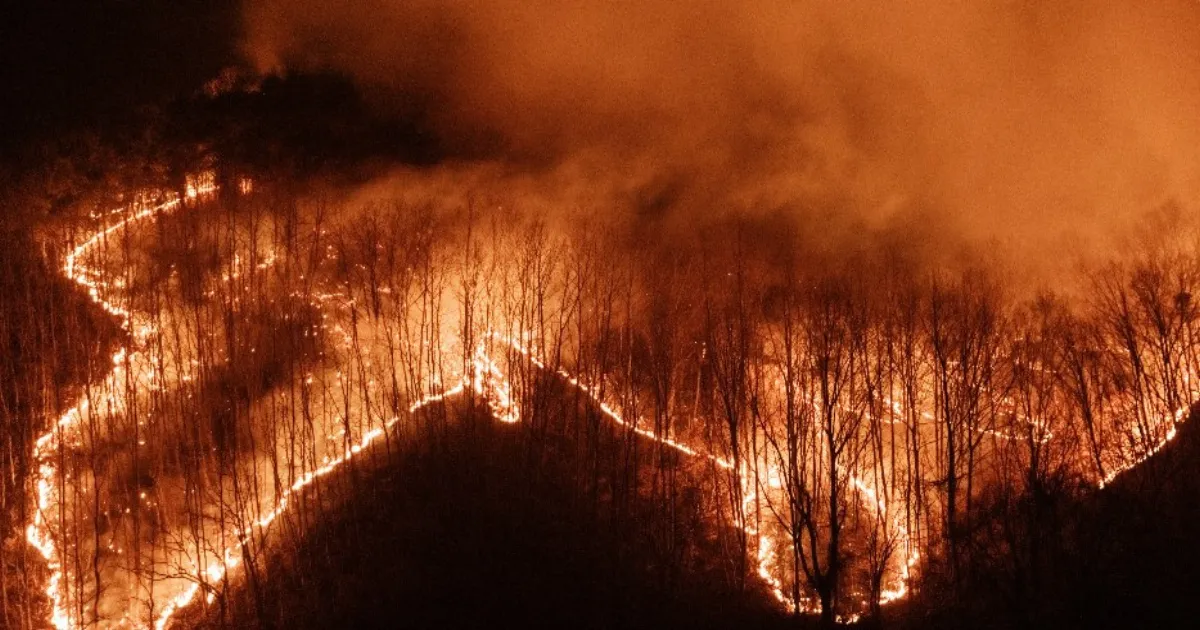 Wildfires Spiral Out of Control in Uiseong, South Korea