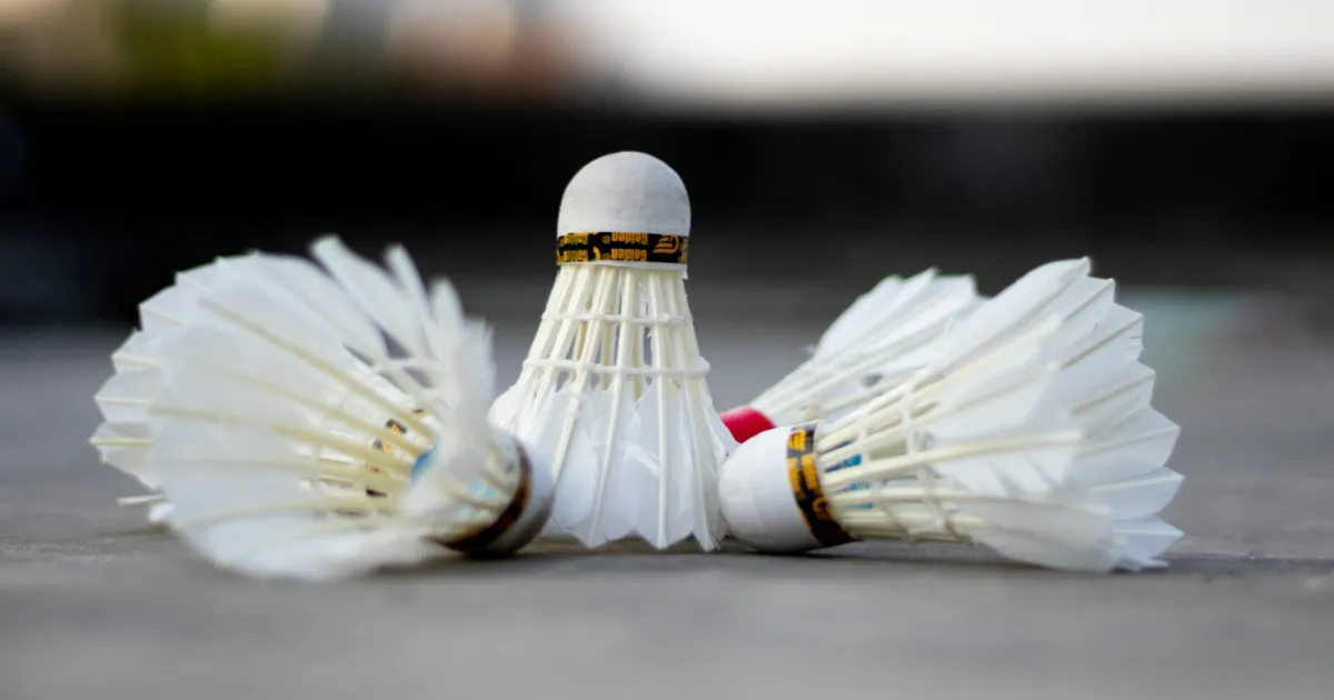 Badminton Faces Crisis as Shuttlecock Prices Surge Due to Feather Shortage