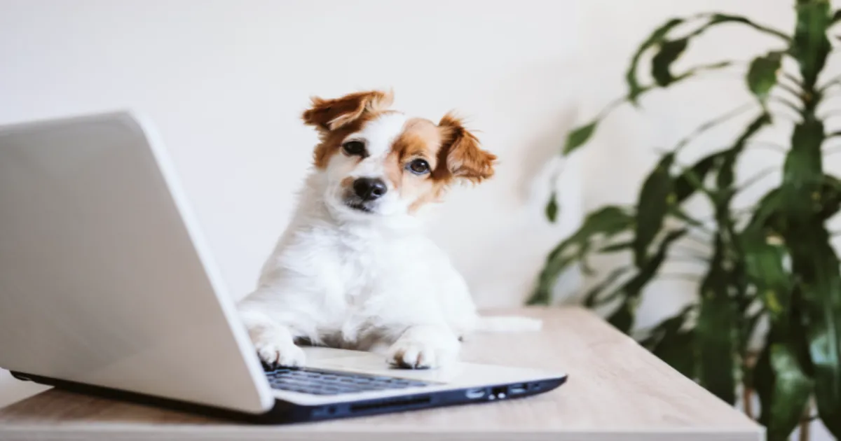 AI Unlocks Animal Minds: Decoding Emotions in Pigs, Whales, and Dogs