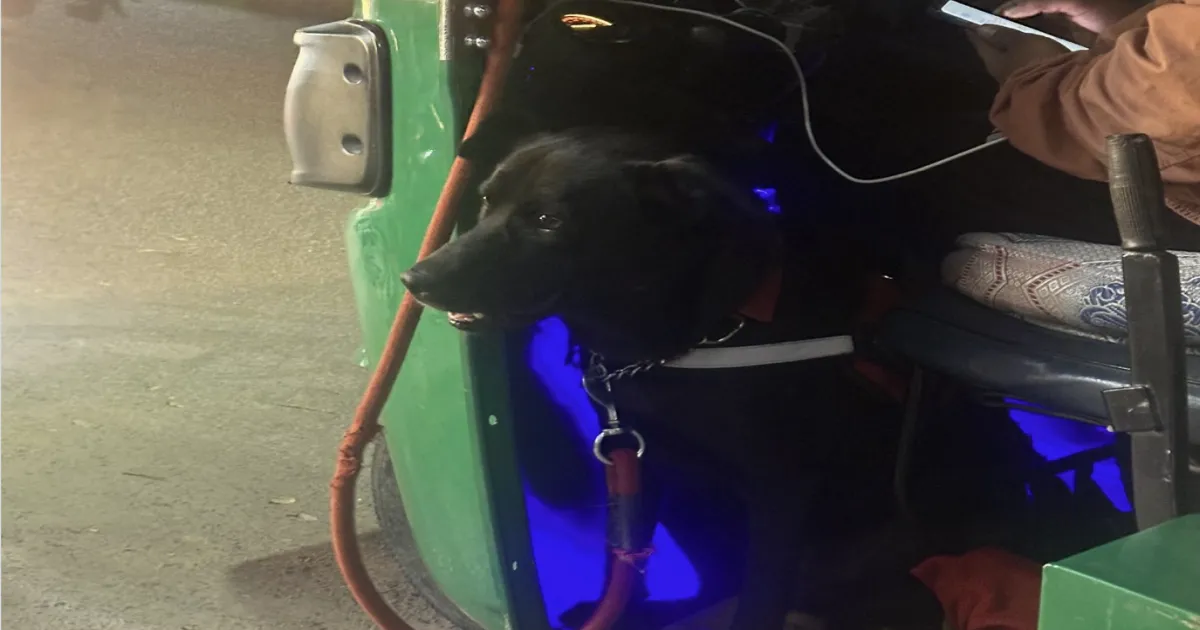 bengalurus-most-adorable-commute-the-auto-driver-and-hi