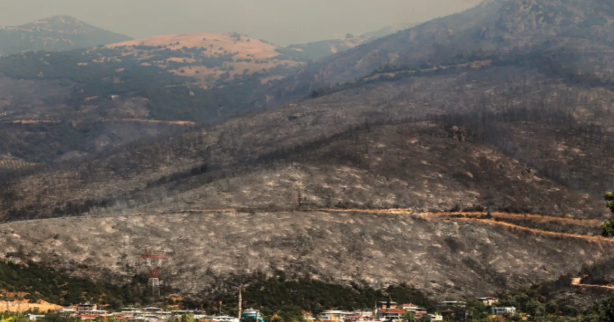 Turkey's Wildfires Rage: 99 Face Prosecution, 17 Dead