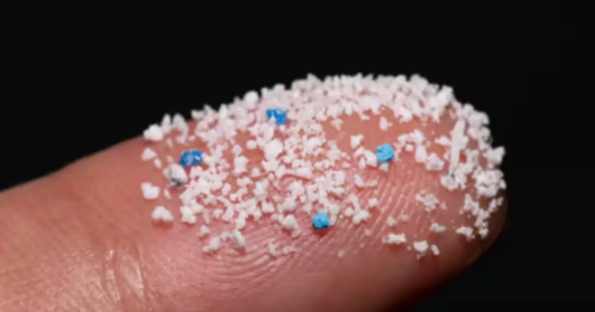 Plastics Poisoning Us: Lancet’s Alarming Health Project