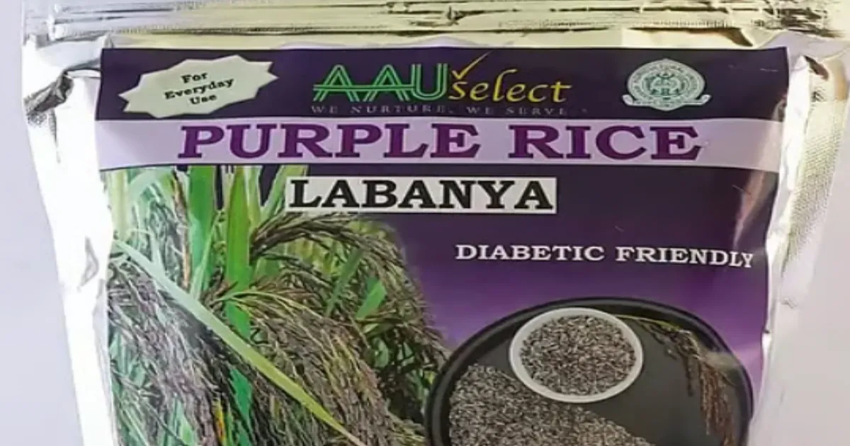 Purple Rice Revolution: Assam’s ‘Labanya’ Hits Markets