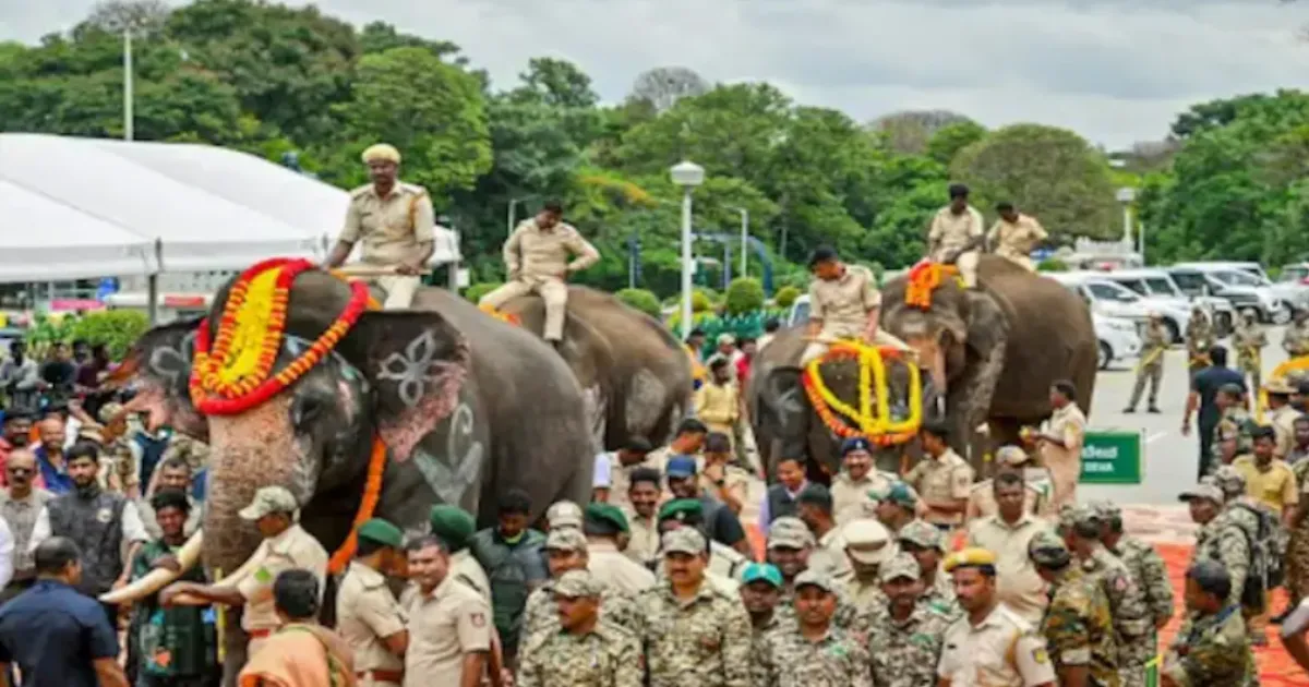 trained-elephants-save-andhra-from-wild-herd-chaos