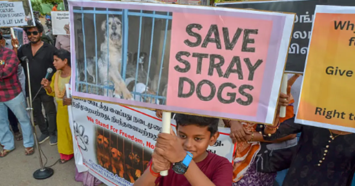 supreme-court-modifies-order-on-stray-dogs
