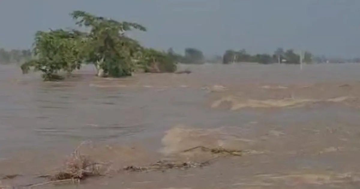 Relentless Rains Cause Severe Flooding in Punjab, Haryana
