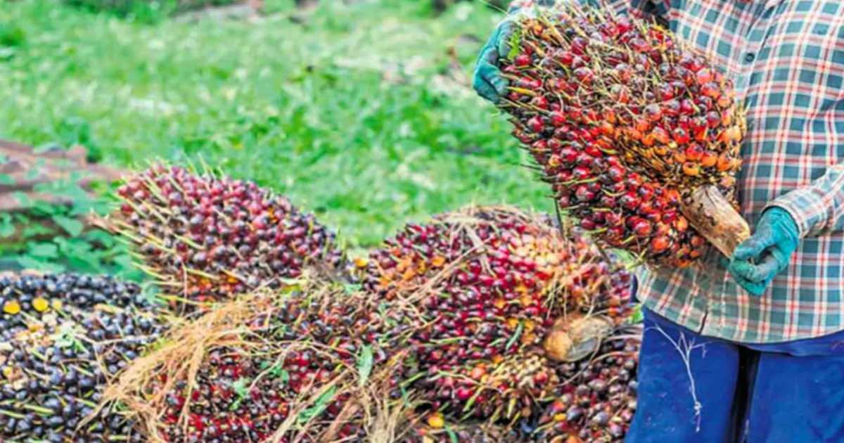 telangana-seeks-higher-palm-oil-import-duties