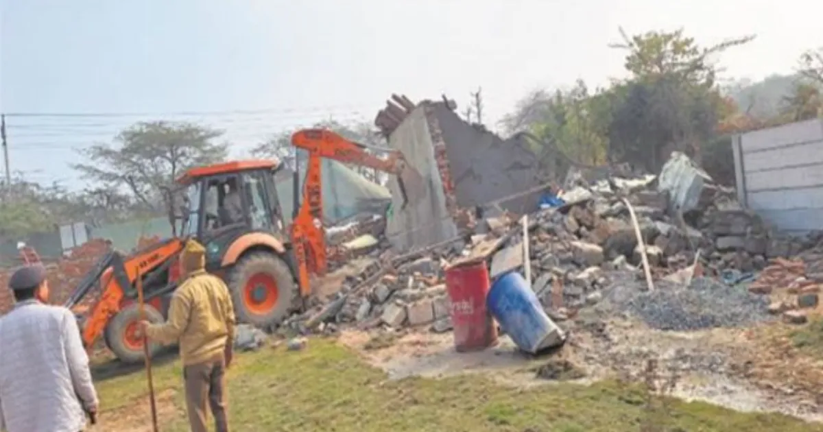 Faridabad Sees 6,793 Illegal Structures on 780 Acres of Deemed Forest Land: CEC