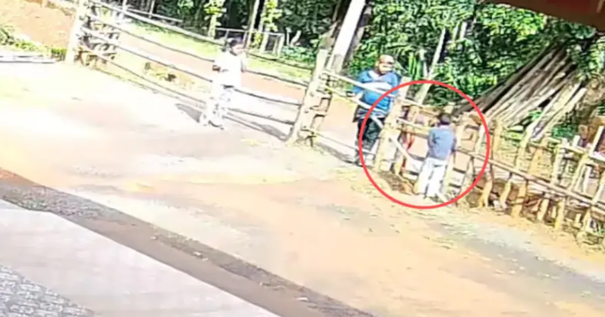 Young Boy Dies After Brother Accidentally Fires Air Gun
