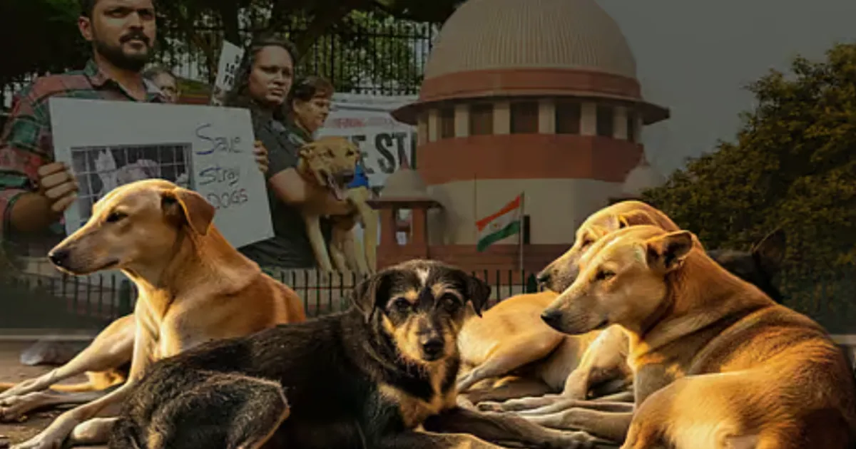 delhi-to-microchip-10-lakh-dogs-in-stray-animal-welfare-plan