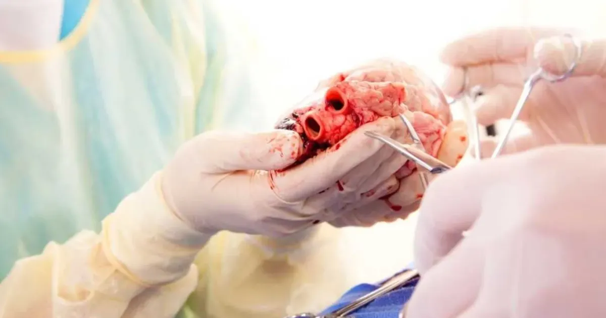 Bengaluru Sets Record With Three Heart Transplants In 12 Hours
