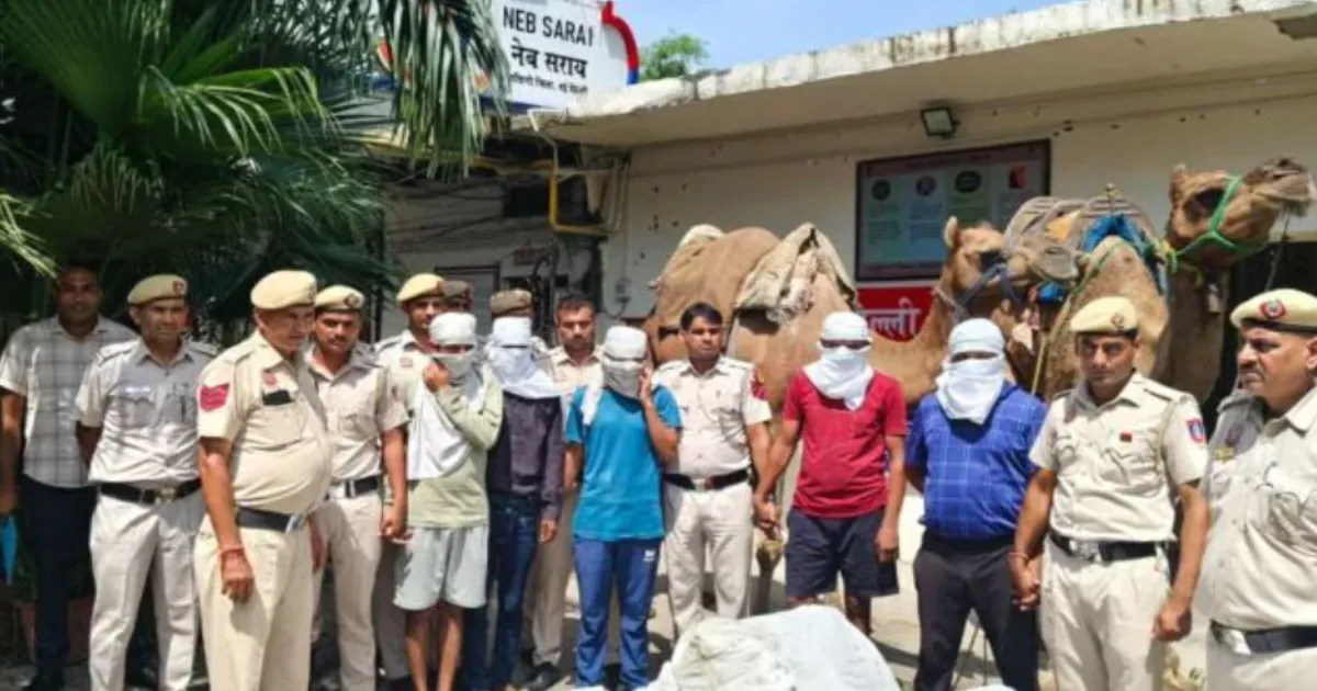 Delhi Police Bust Camel Liquor Smuggling Racket, Five Arrested