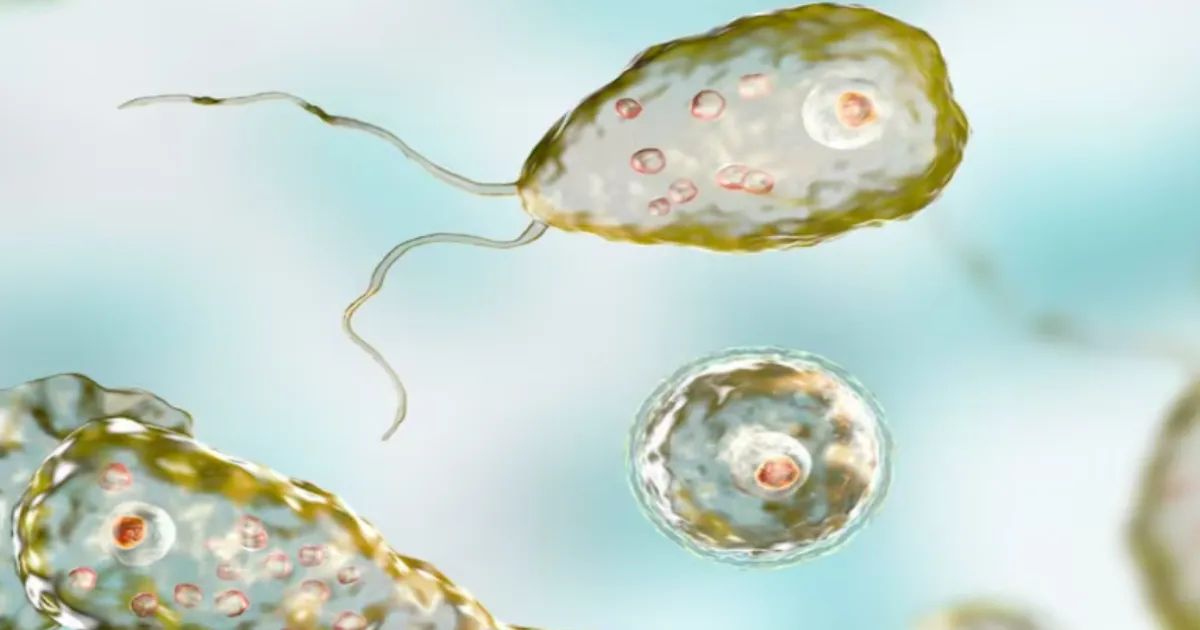 Kerala Reports Multiple Deaths From Deadly Amoeba Parasite
