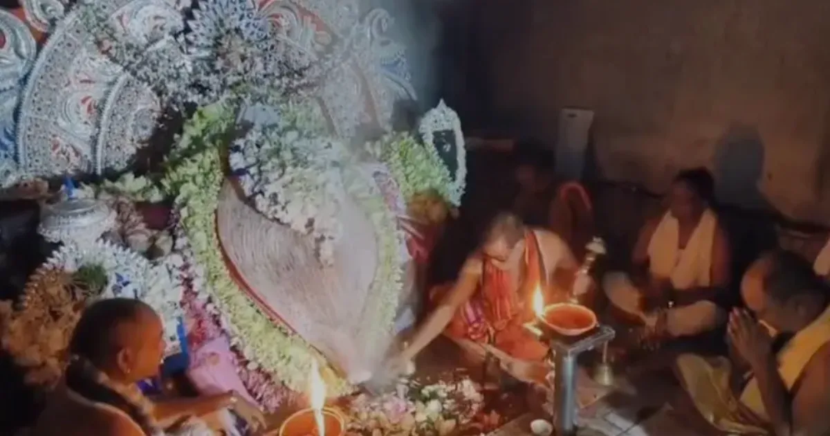 thousands-flock-samaleswari-temple-to-witness-dhabalamu
