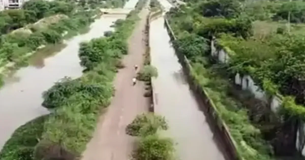 Munak Canal in Delhi Faces 50,000 MT Waste, Govt Plans Cleanup