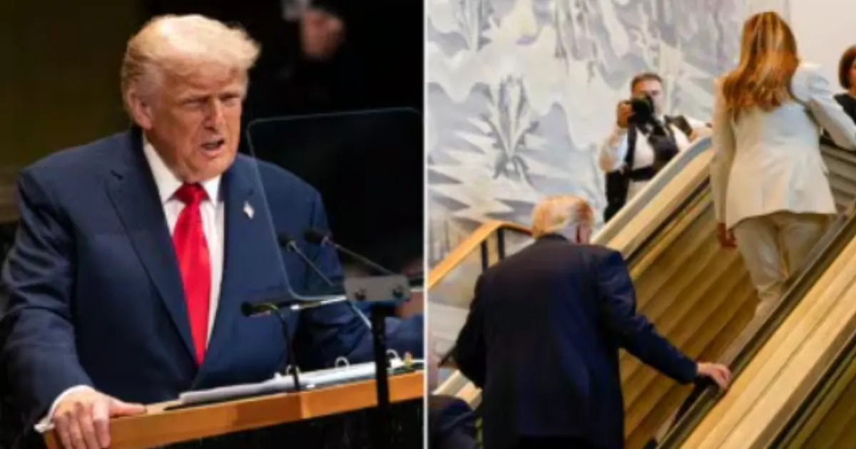 Trump Alleges 