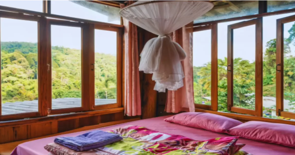 Hotels Are Out: Travelers Crave Cozy Homestays