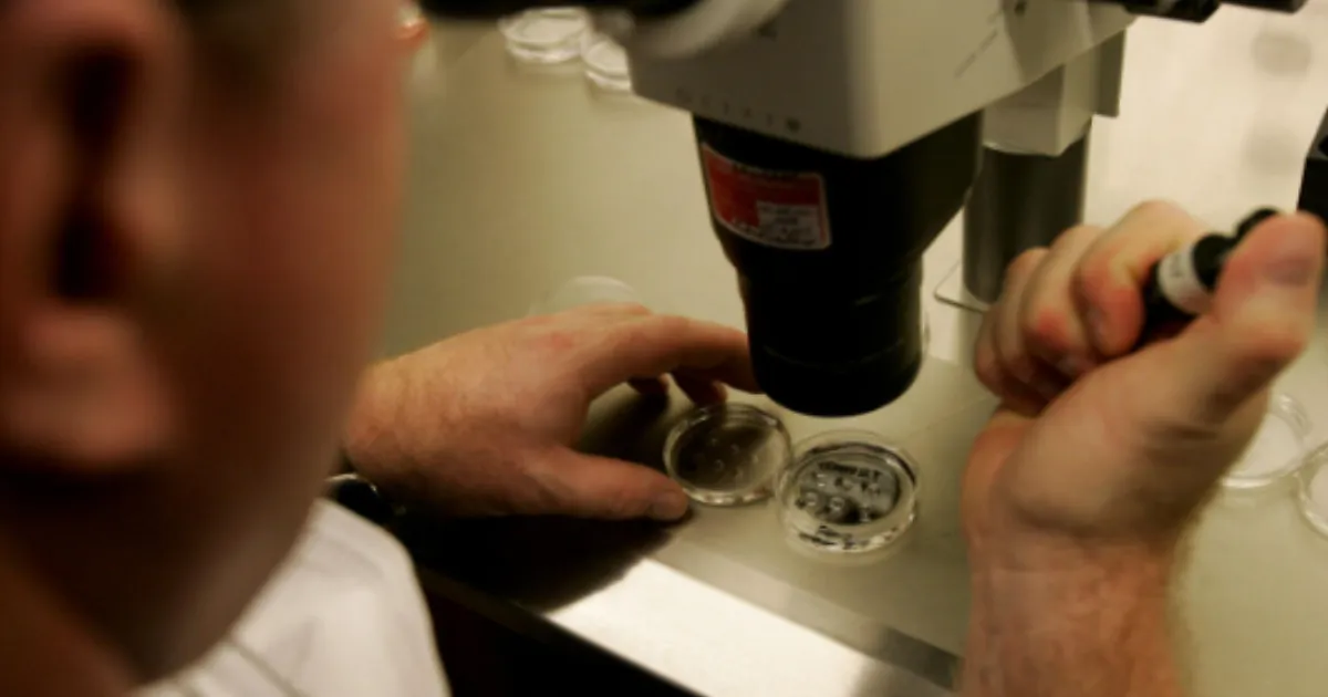 from-skin-to-life-scientists-create-human-eggs-from-cel