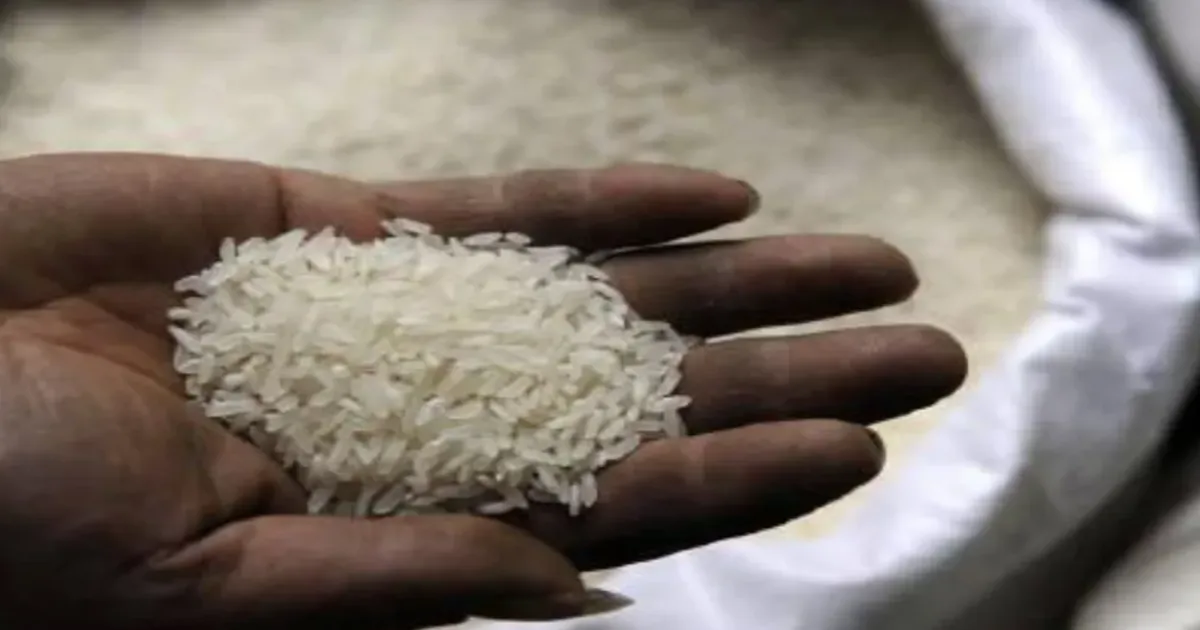 India Lifts Long-Standing Ban on De-oiled Rice Bran, Exports Head to Asia
