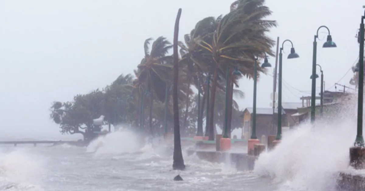 Cyclone Montha Intensifies, Andhra Pradesh on High Alert Ahead of Landfall