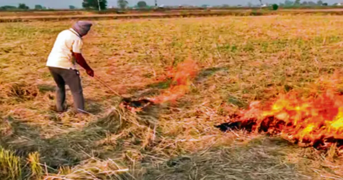Punjab Sees Season’s Highest Spike in Stubble Burning, 122 Cases Reported in a Day