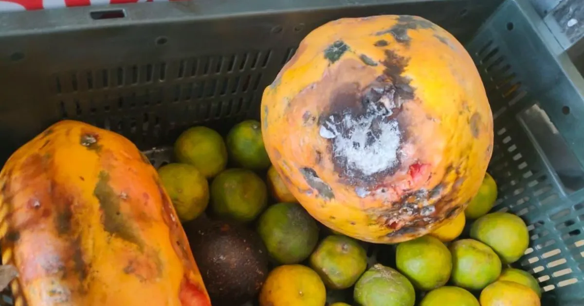 telangana-cracks-down-on-highway-eateries-shuts-hotels