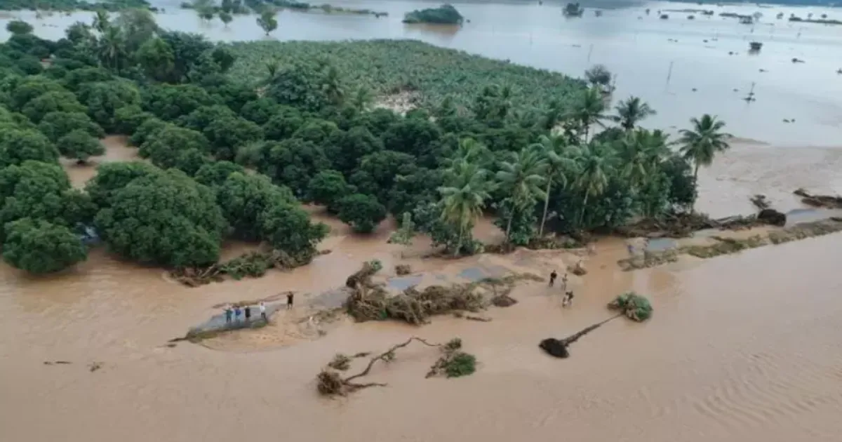 Rayalacheruvu Tank Breach in Tirupati District Causes Flash Floods; No Casualties Reported