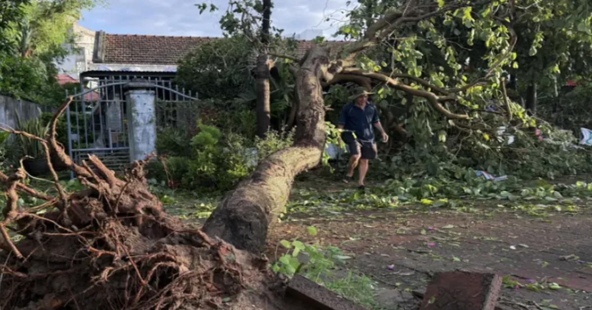 Typhoon Kalmaegi Hits Vietnam After Deadly Philippines Strike, Killing 5