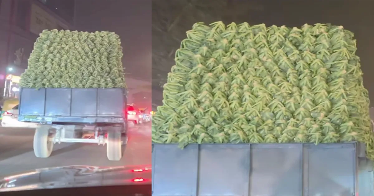 delhis-cauliflower-pile-up-goes-viral-shocking-open