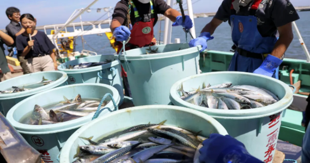 China Freezes Japanese Seafood Imports After PM’s Taiwan “Red Line” Threat