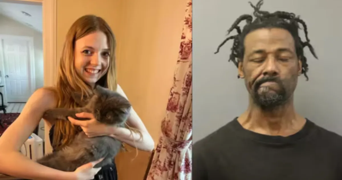 Brutal Chicago Train Attack Leaves Young Woman Burned as Suspect With 50+ Cases Faces Terror Charges