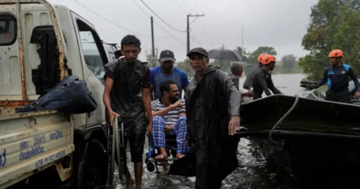 Cyclone Ditwah Leaves 80+ Dead in Sri Lanka; IMD Warns Indian Coast of Renewed Threat