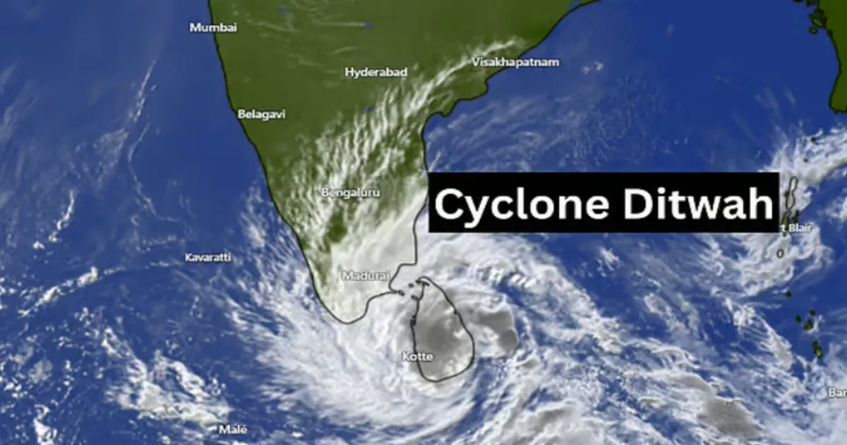 cyclone-ditwah-brings-turbulence-to-tamil-nadu-resident