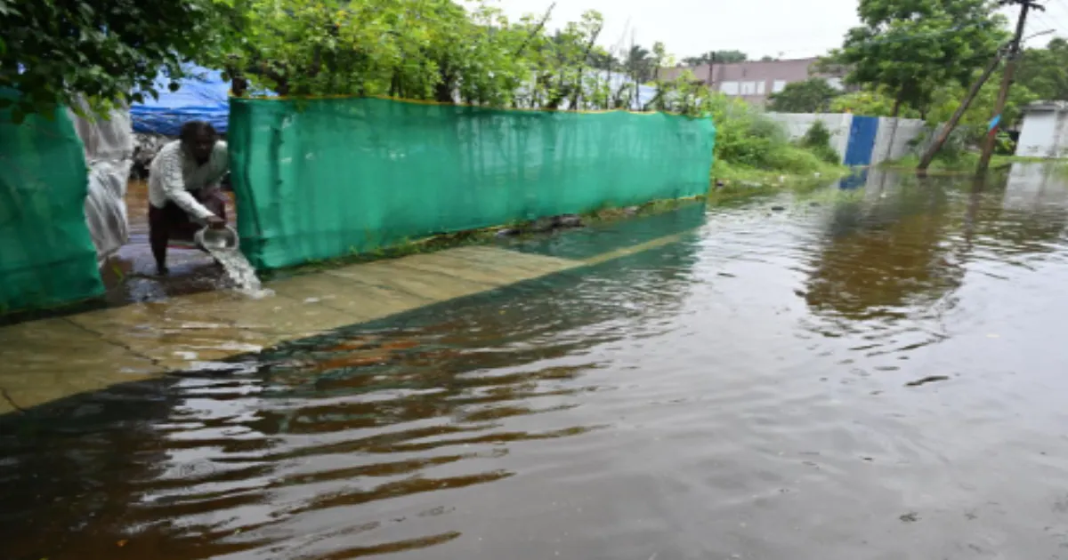 Cyclone Ditwah Floods Tamil Nadu Delta; Seawater Inundates Over 2 Lakh Acres of Paddy