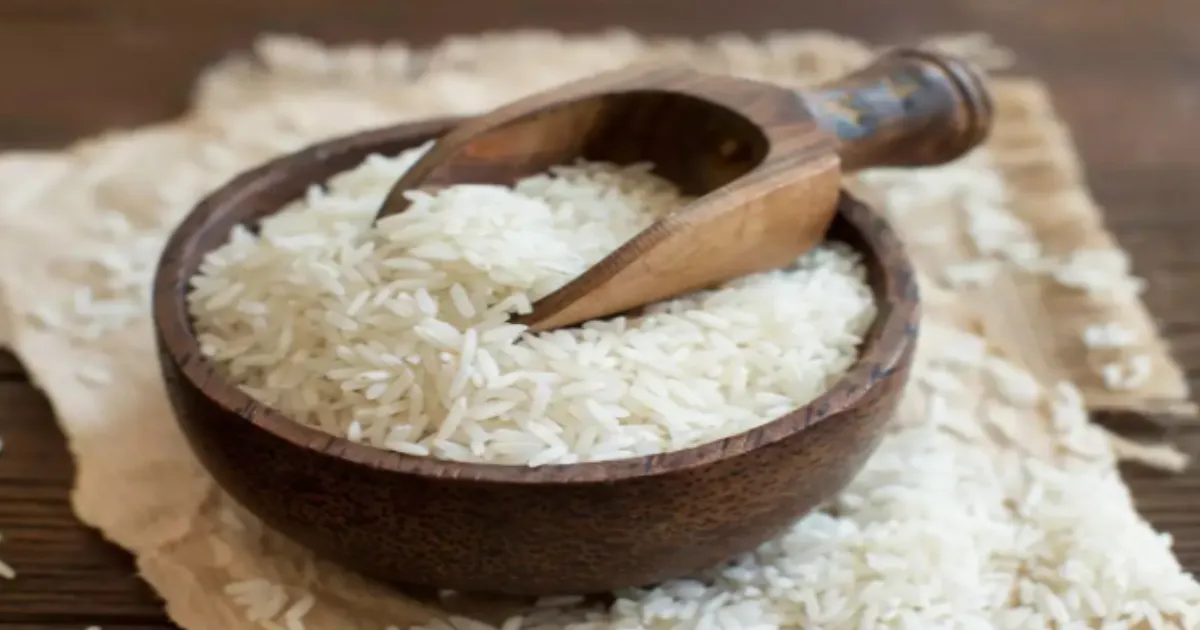 IREF Rejects Trump’s Rice Dumping Allegations, Highlights Market-Driven US Exports