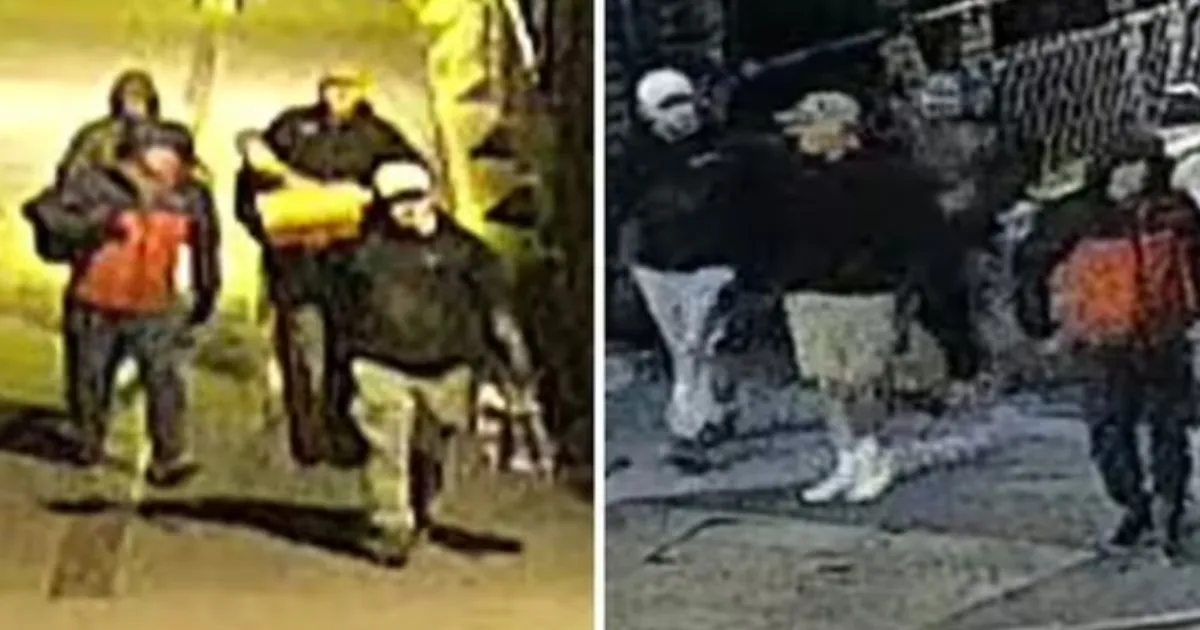 Bristol Museum Heist: 600+ Artefacts Taken From Offsite Facility, CCTV Images Out